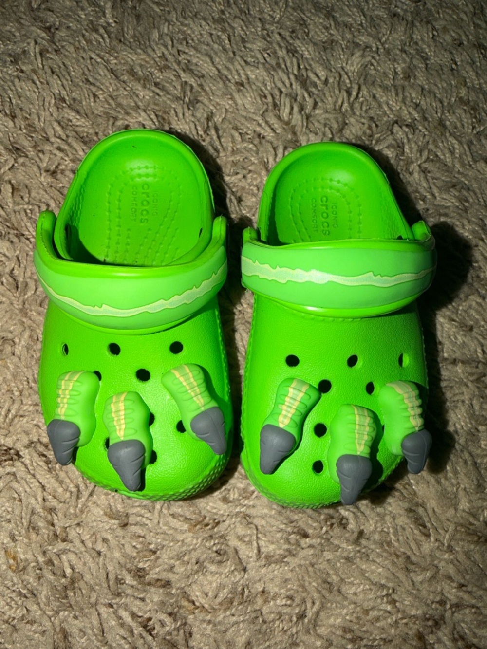 Dino Crocs